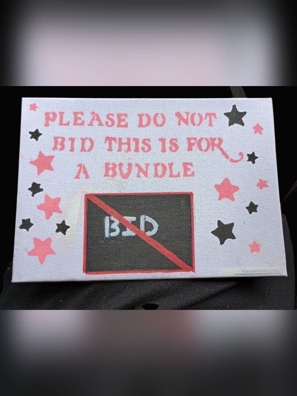 "Please Do Not Bid This Is For A Bundle" 5X7 Homemade Canvas Sign